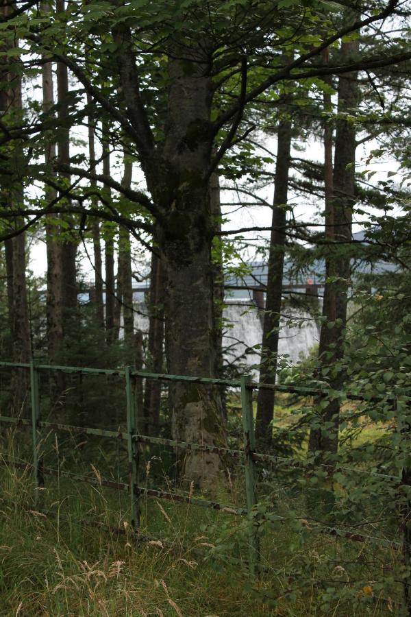 Bed and Breakfast Loch Arklet House Stirling Exterior foto